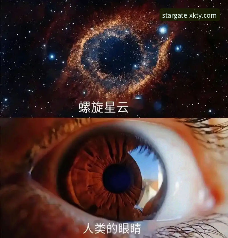 星空体育最新版App评测 揭秘星空体育最新版App评测:版本更新背后的用户真实体验与行业趋势